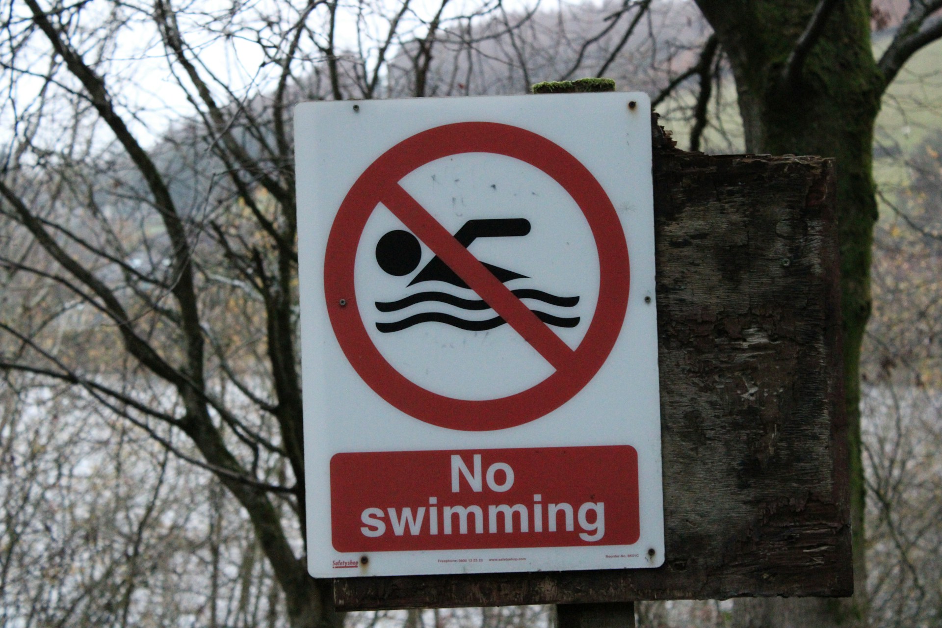 12 of 14 river bathing sites rated “poor” – and the only way to fix them is to swim in them